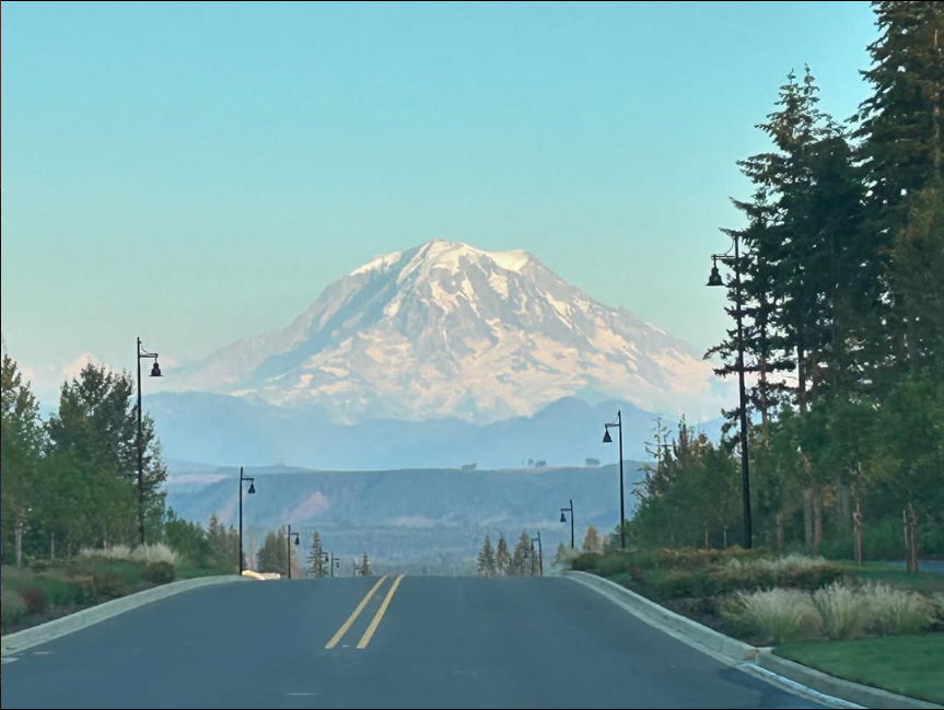Granola and Blueberries: a Love Letter to Washington State